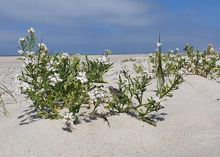 Sauna Retreat In Blabjerg - By Traum Nørre Nebel